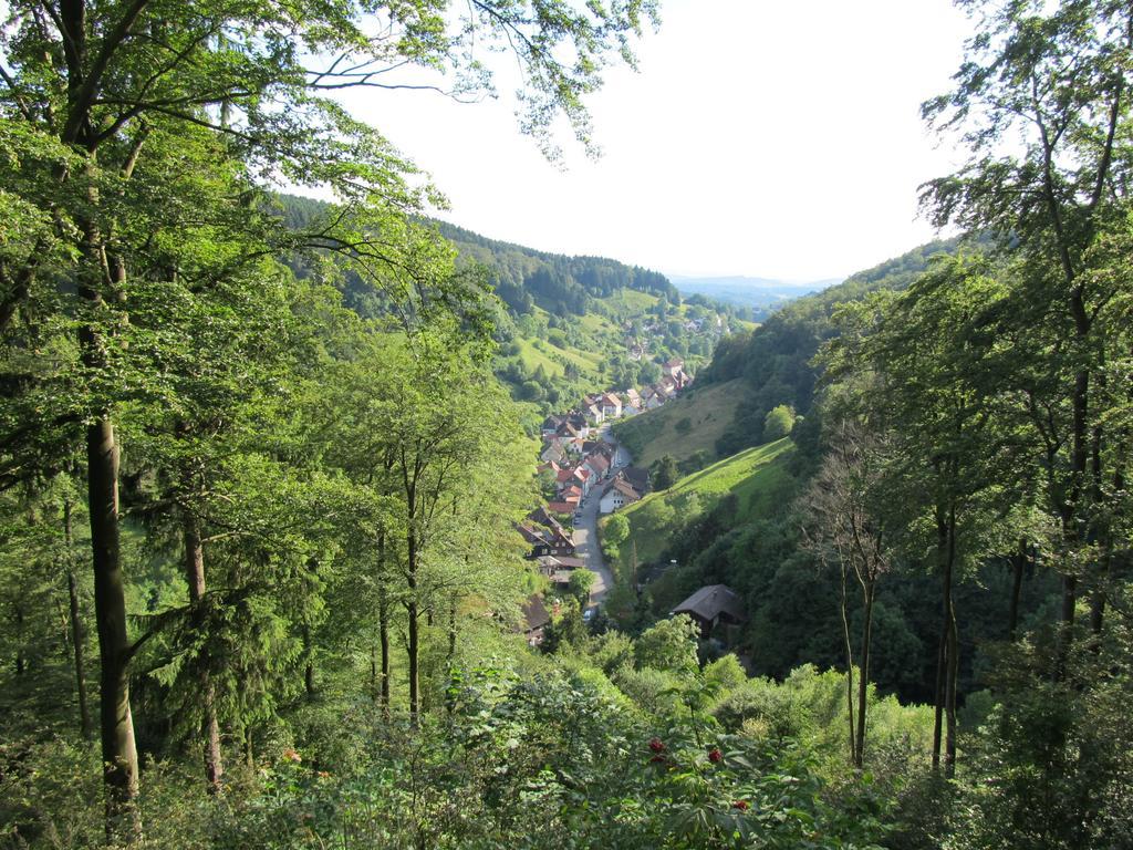 Hexenstieg House Lerbach Apartment Osterode am Harz Bagian luar foto